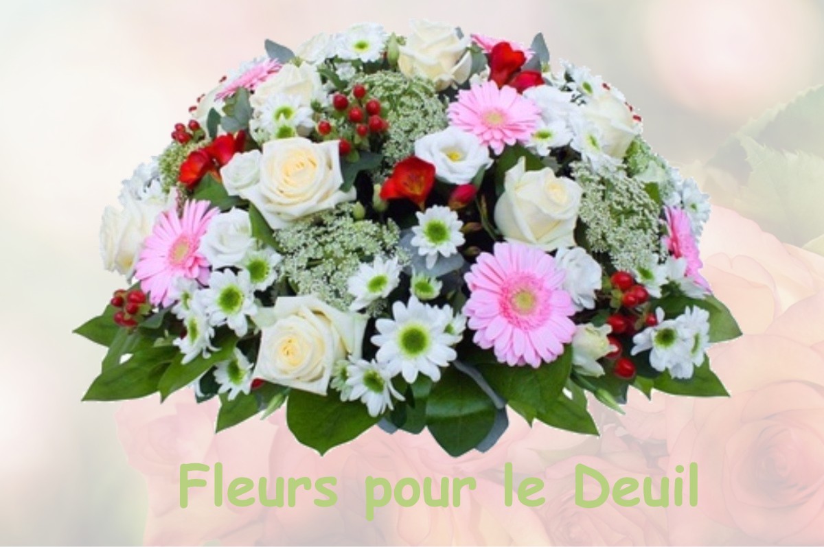 fleurs deuil DOMMARTIN-SUR-VRAINE